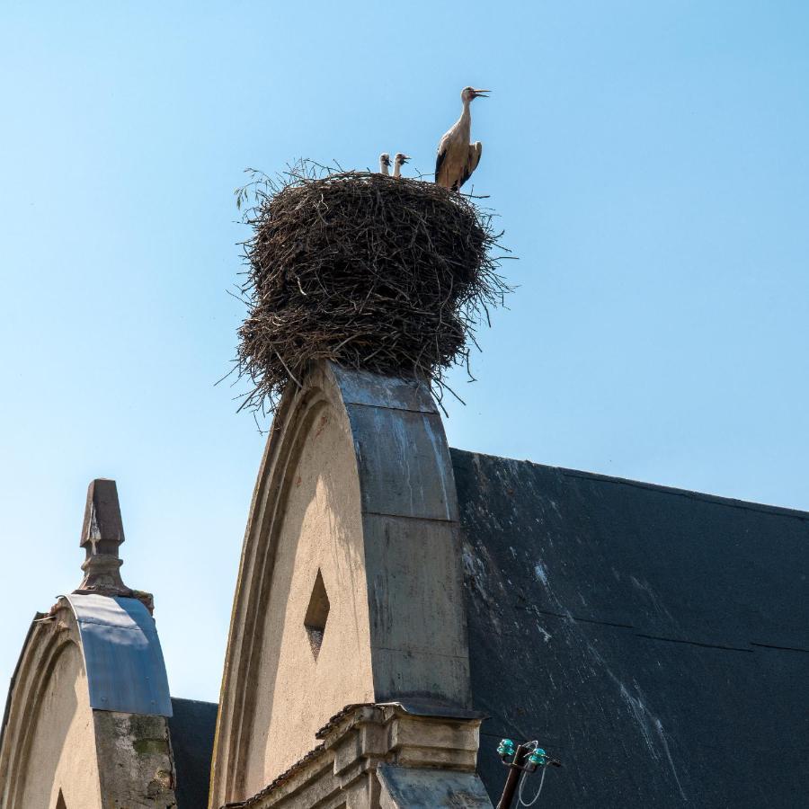 Zamek Sarny - Schloss Scharfeneck Kłodzko Eksteriør bilde
